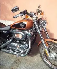 HARLEY DAVIDSON 1200C SPORTSTER CUSTOM - 2