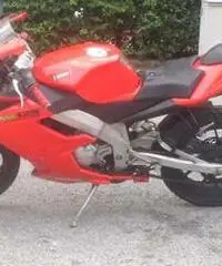 Derbi 125 gpr racing