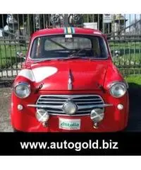 FIAT 1100 1100 TV (VALUTO PERMUTE ) - 6