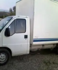 Fiat Ducato 15 2.8 JTD PM CASSONATO - 2