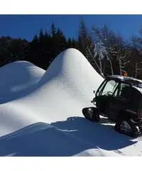 Polaris ranger 500 + cingoli - 6