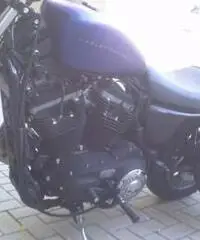 Harley Davidson Iron