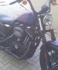 Harley Davidson Iron - 2