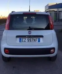 Fiat Panda 1.2 Lounge - 5