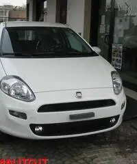 FIAT Punto 1.2 8V 5 porte Street  KM O!!!! - 4