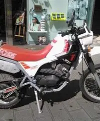 MITICO MORINI KANGURO 350 - 3