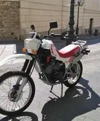 MITICO MORINI KANGURO 350 - 5