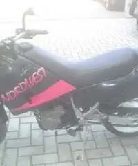 GILERA NORD WEST 600 - 2