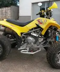 Quad 250 cc 4 tempi anno 2008 - 2