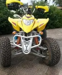 Quad 250 cc 4 tempi anno 2008 - 5