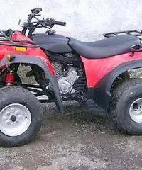 QUAD ADLY 300