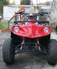 QUAD ADLY 300 - 2