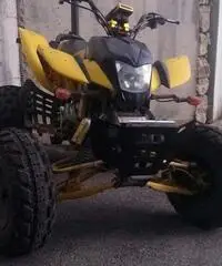 Quad atv 250 competizione - 4