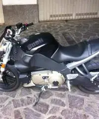 Buell xb12 scg 2009