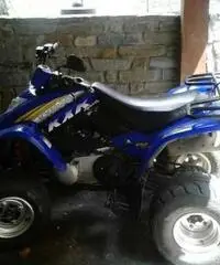 Kymko kxr 250 sports - 3