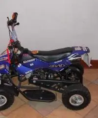 Mini quad 2013 - 3