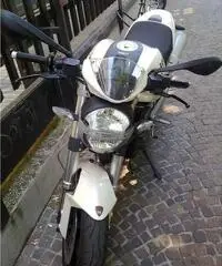 DUCATI MONSTER