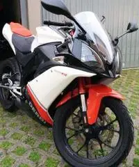 DERBI GPR 125 4T 4V - 3