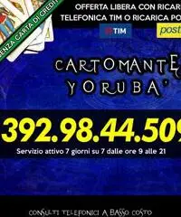 (¯`’•.¸(¯`’•.¸*♫♪♥( CARTOMANTE YORUBA )♥♫♪*¸.•’´¯)¸.• ‘´¯)