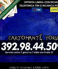 (¯`’•.¸(¯`’•.¸*♫♪♥( CARTOMANTE YORUBA )♥♫♪*¸.•’´¯)¸.• ‘´¯) - 3