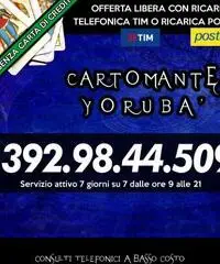 (¯`’•.¸(¯`’•.¸*♫♪♥( CARTOMANTE YORUBA )♥♫♪*¸.•’´¯)¸.• ‘´¯) - 4