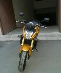 Honda Hornet 600 Dell 2008