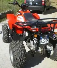 Polaris Trail Blazer 330 - 3