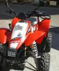 Polaris Trail Blazer 330 - 6