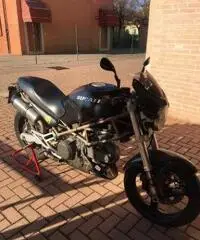 Ducati monster