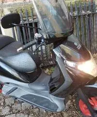 Piaggio Beverly 250 - 2004