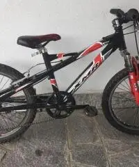 Bicicletta mountainbike bimbo