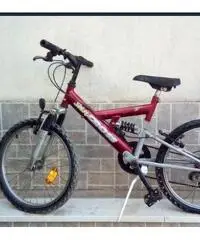 Bicicletta Mountain bike