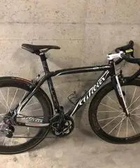 Bici corsa carbonio