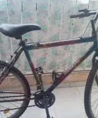 Mtb bike