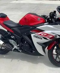 2015 Yamaha YZF R3 - 4