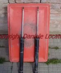 Ammortizzatori per Golf 4 "Monroe"