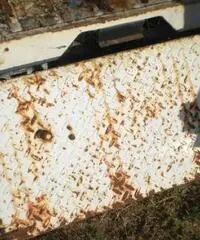 Jeep Willys sportello posteriore - 3