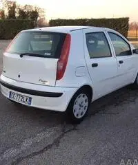 Fiat Punto km 163.000 - 3