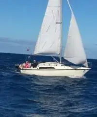 Vendo jouet 22 in ottime condizioni - 6