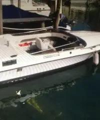 Sea star - 2
