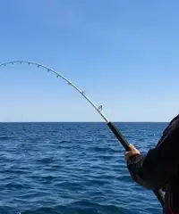 Barca battuta di pesca traina bolentino jigging - 5