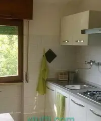 Affittasi appartamento con bellissima vista lago - 2