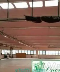 Capannone uso artigianale/magazzino mq 900 A-715 - 4
