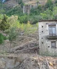 Rustico con un ettaro di terreno - 2