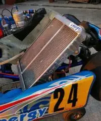 Kart kz energy con kz10b - 4