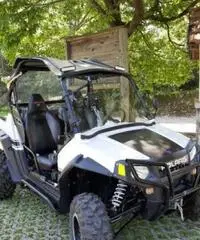 Polaris rzr 800s