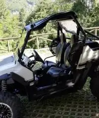 Polaris rzr 800s - 2