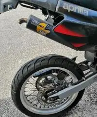 Aprilia MX Super Motard 50 - 2004 - 6