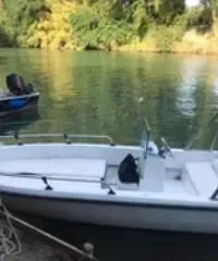 Natante con motore 25 cavalli Tohatsu - 2