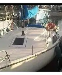 Barca a vela 7 m - 2